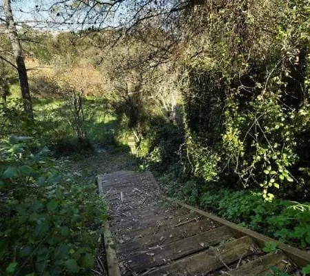 One Bedroom With Private Bathroom And Kitchen Alcobaça