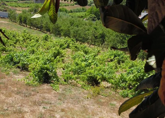 One Bedroom With Private Bathroom And Kitchen Σαλέ Alcobaça