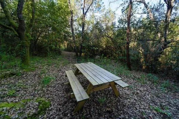 Σαλέ One Bedroom With Private Bathroom And Kitchen *