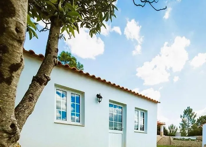 Σαλέ One Bedroom With Private Bathroom And Kitchen Alcobaça